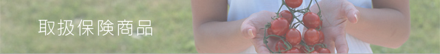 取扱保険商品